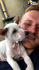 Puppy found shaking in gutter gets the sweetest hugs from her big dog sister ❤️ | The Dodo