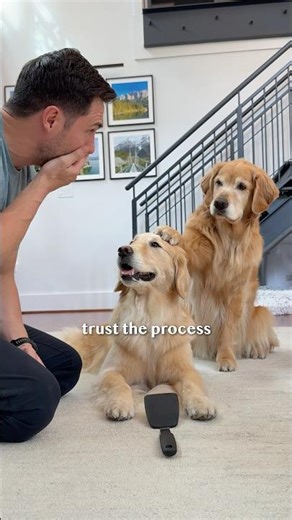 the BEST useless tricks part 2