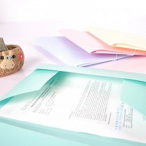 [Hot Item] Versatile Plastic File Box, Papers Storage Box with Multiple Compartments for Organization