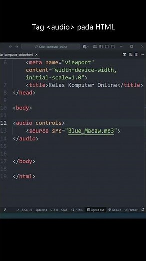 Understanding Audio Tags and Their Functions
