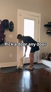 595K views · 3K reactions | What any door teaches puppiesThey sat....