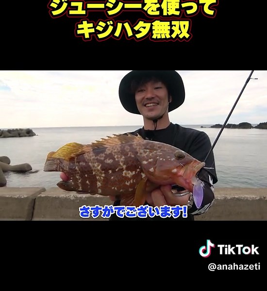 話題のジューシーを使ってキジハタ無双!! #釣り #日本海 #高級魚 #アナハゼティ #本編はyoutubeへ
