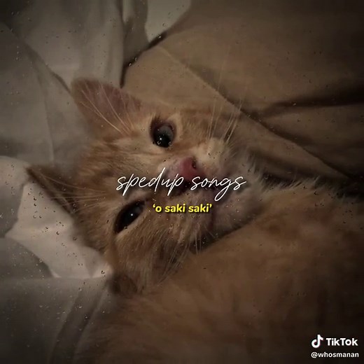 Sped Up Songs: Nostalgic and Catchy Speedsongs for Your Playlist