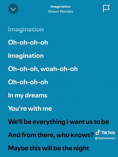 Shawn Mendes - Imagination Full Lyrics on Spotify