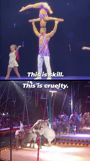 A Call to End Animal Acts in Shrine Circuses