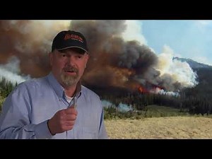 WFSTAR: Latest Research on Estimating Safety Zones