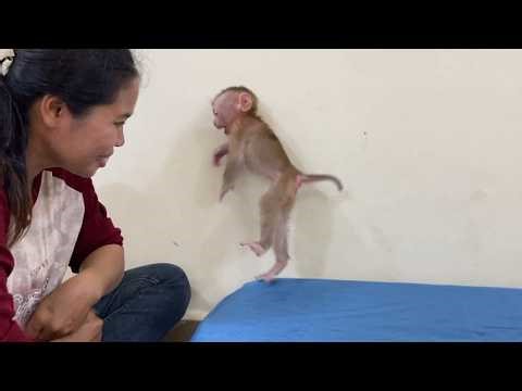 Genius Ronaldo Dancing Up Show Off Amusingly