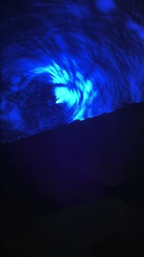 Real-time footage: Coupling light from free space into Raicol’s PPKTP waveguides ✨.
