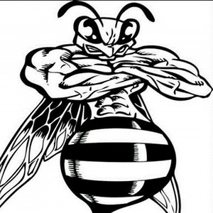 Boys Varsity Football • Home