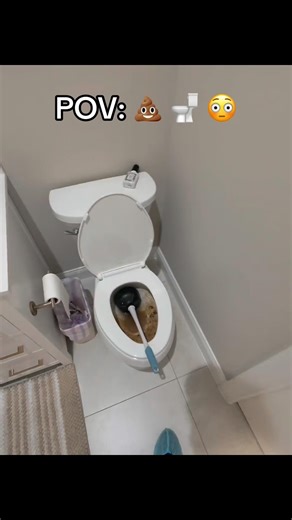 😳 Toilet clogged? No problem. Fast, professional service. Www.swfl24rooter.com #plumbing #viral