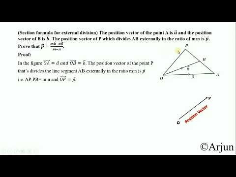 Vector: Section formula for External Division