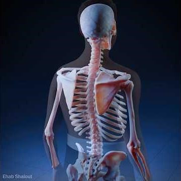 What Scoliosis Really Does To Your Spine 🦴 (3D Animation)