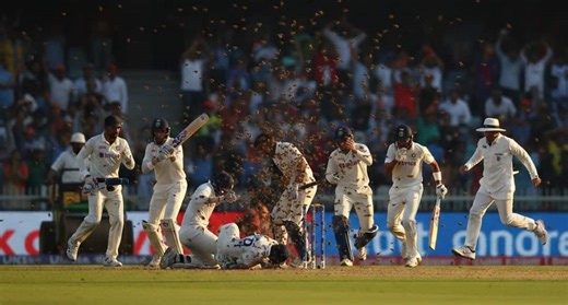 Umpire Dies After Bee Swarm Attacks Local Cricket Match In Unnao