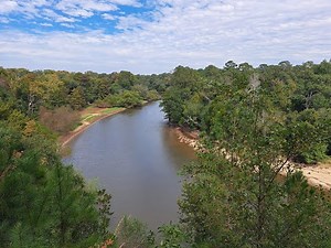 Hiking to Clifftop River Views: Cliffs of the Neuse State Park in Eastern North Carolina