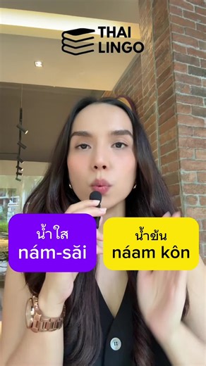 Explore Thai Soups: Nam Sai vs. Nam Khon