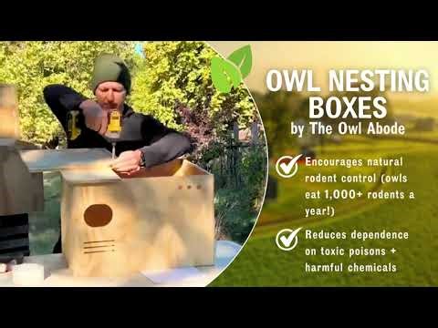 The Owl Abode owl box kit assembly