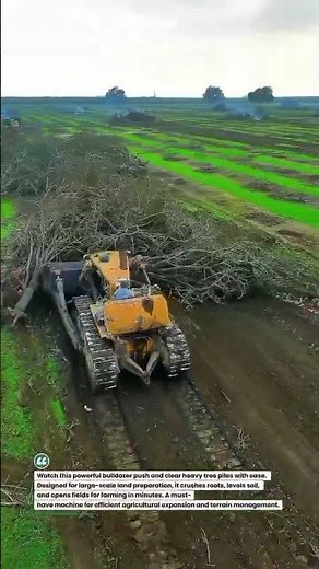 Bulldozer Tree Clearing Power | Fast Land Prep Beast 🌲🚜🔥 #LandClearing #Bulldozer #Farming
