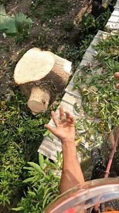 533K views · 2.1K reactions | A vew diffenrence step cut, which one do you choose when it is comfortable with you, why not . | Yulianto | Facebook