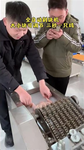 Automatic bone chopping machine