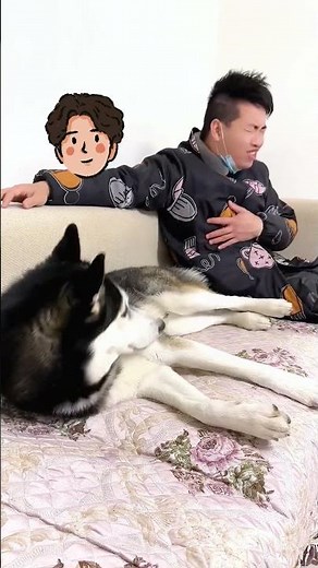 When you tickle the dog #funny #pets #dog