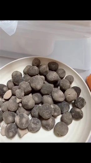 clay love (@clay.love78)’s videos with original sound - clay love
