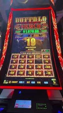 Buffalo Link Another Great Bonus #casino #slotscasinogames #slot #slotmachine #jackpot #bonus