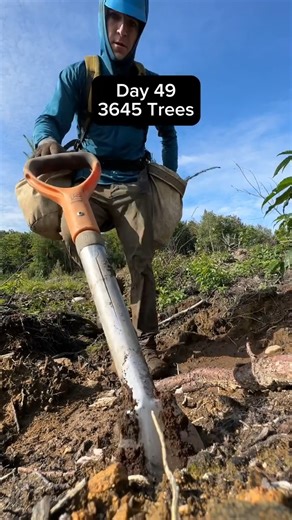 433K views · 16K reactions | FAQ #34 : What is the app you use to get a map of your daily trajectory? Answer : The app I use is called Strava. It tracks my map of wherever I walked during the day. It helps me keep track of my daily mileage and it’s always fun to see what my plantation looks like at the en of the day. Question asked by : @guerbi_ma #trees #treeplanting #treeplanter #planttrees #plantingtrees | Antoine Moses | Facebook