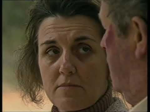 prisoner cell block h 427