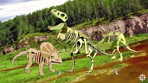 🔊 Sound up! We've got a little song about dinosaurs. Canadian dinosaurs! And the chorus is so catchy you'll be singing about dinos long after the kids go to bed. (We're sorry, but we can't stop singing it either) 😄🇨🇦❤️️ | CBC Kids