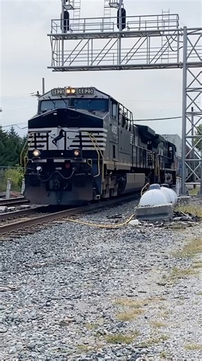 NS Intermodal Train Cruising Through Town #norfolksouthern #train #railroad #railway