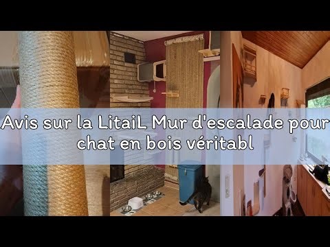 Avis sur la LitaiL Mur d'escalade pour chat en bois véritable pour grand chat jusqu'à 25 kg, 5 pièce