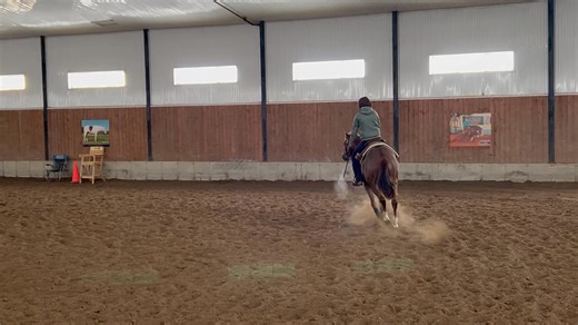 Loving this 2 year old #AmericasNextTopGun! #windherupchic Thank you Robert Lachance for your support and trust in our program. Chic continues to excel every day. Casi Sapergia Heidebrecht | St-Onge Equestre