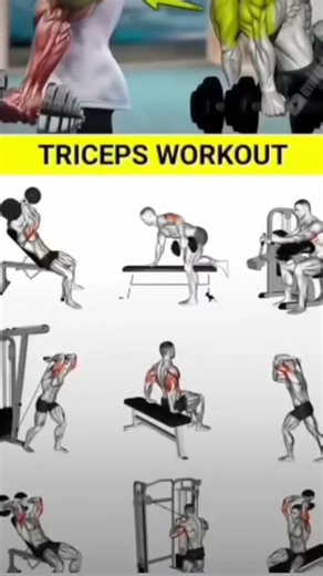 The Ultimate Triceps Workout: Targeting All 3 Heads!