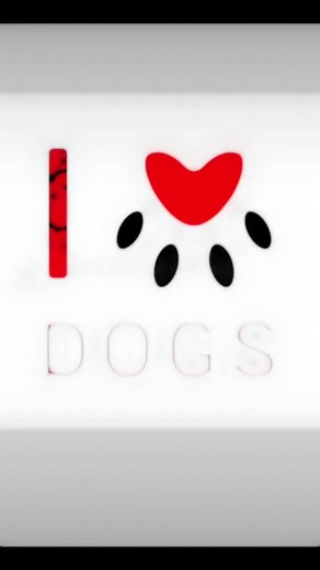 #dogknottingtoy #doglover #zoophia #contentcreator