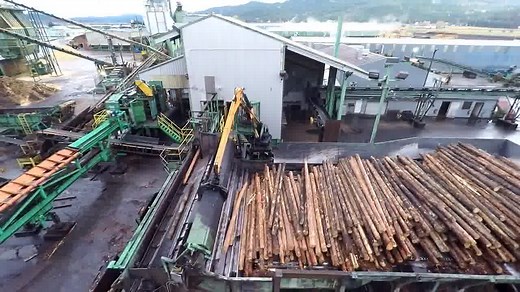 From Logs to Lumber An aerial trip through the Vaagen Brothers Lumber sawmill in Colville, Washington State | Forestmachinemagazine