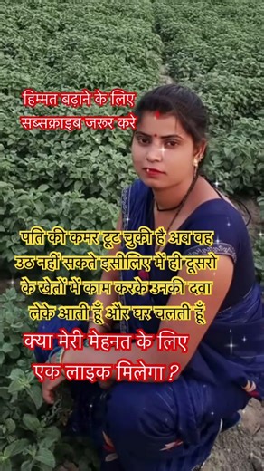 Organize Your Home with These Must-Have Smart appliance-116 #shortsfeed #shortsviral #shorts #short