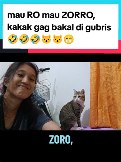 Kucing Zorro: Meme Lucu dan Gaya Kucing