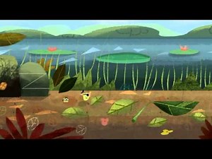 Trunk Train - Trailer 2