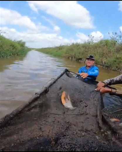 um lugar infestado de piranhas | Aventuras Pesca Selvagem