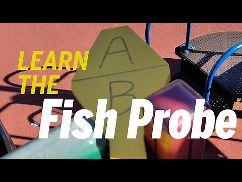 How to use the playground fish probe to check the safety of your playground