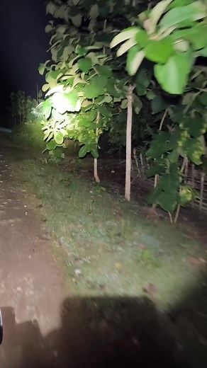 739K views · 7K reactions | Tes tes pake senter... | Fain Gleen Silap | Facebook