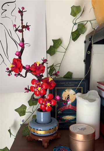 little_red_library on TikTok