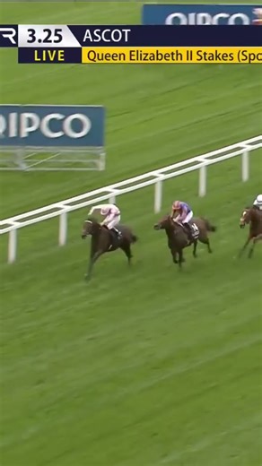 Cicero’s Gift - 100/1 winner of the QEII #horse #horseracing #racingtv #britishhorseracing