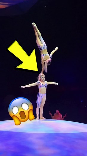 Incredible Teeterboarding Tricks at Cirque du Soleil's Mystère