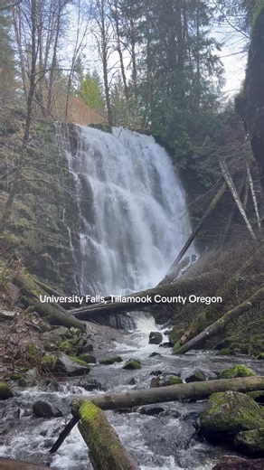 Doug Gay (@hephaestus.maximus)’s video of Oregon