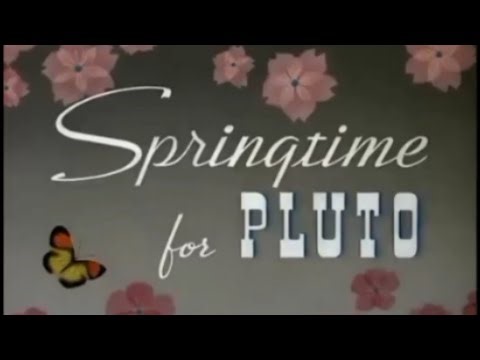 Springtime for Pluto - Part 2 #cartoon #old #oldcartoons #pluto