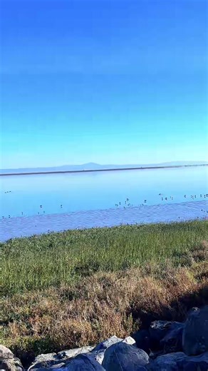 Nurse Gracey (@nurse_gracey1)’s videos with original sound - Bionation Media