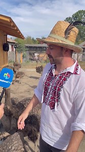 287K views · 6.9K reactions | Din ciclul "Umor National ... TV/FM"... astazi interviu la Ferma de Struti!  | National FM Romania | Facebook