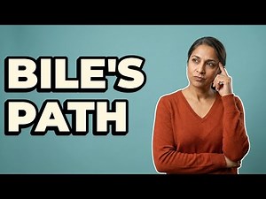 How Does Bile Get Into the Small Intestine?