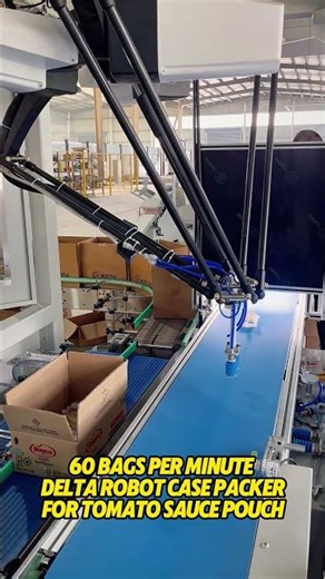 ⚡Boost Sauce Production! Delta Robot pickup and place case packer for Tomato Sauce Spout Pouches